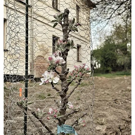 Podzzamkem 3* Jaroslavice (Znojmo)